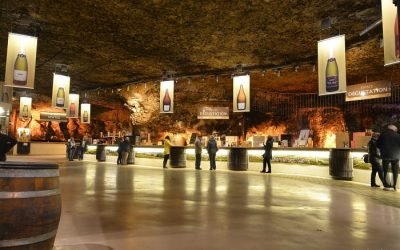 Visites et dégustations aux Caves Bailly Lapierre