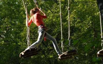 Parc du Bois de la Folie