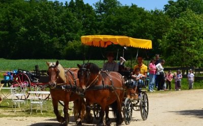 Le moulin de Vanneau