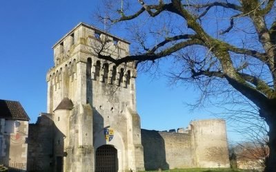 Château de Druyes les Belles Fontaines