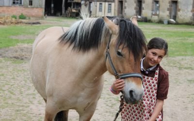 La Ferme du Château de Saint Fargeau