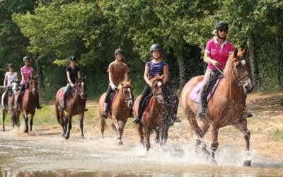 Ferme équestres les grilles