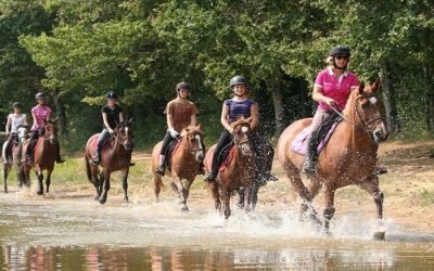 Ferme équestres les grilles