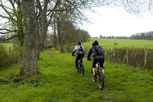 Location de VTT