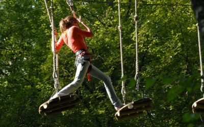 Parc du Bois de la Folie