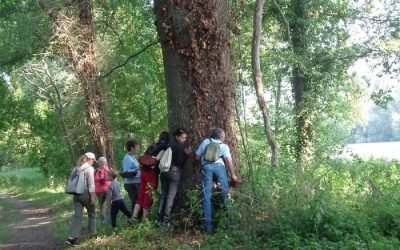 Activités nature et découverte