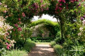 Rendez-vous aux Jardins de la Bussière @ Château de la Bussière