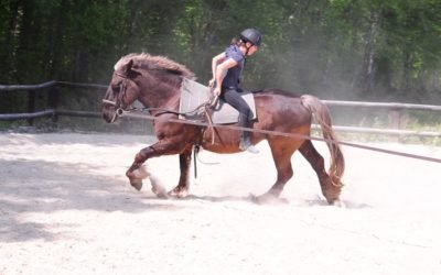 Domaine Équestre de Chevillon
